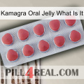 Kamagra Oral Jelly What Is It 18